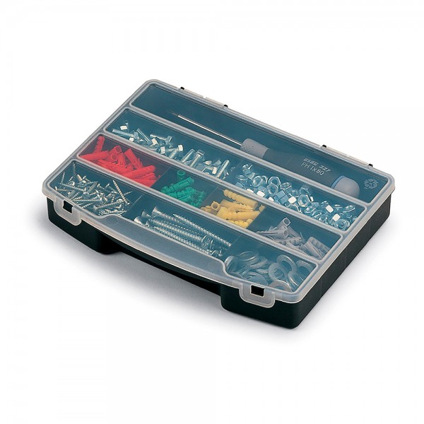 Organizador de compartimento con tapa 10 divisiones fijas 24,5 x 18 x 4 cm (pack 5 unidades)